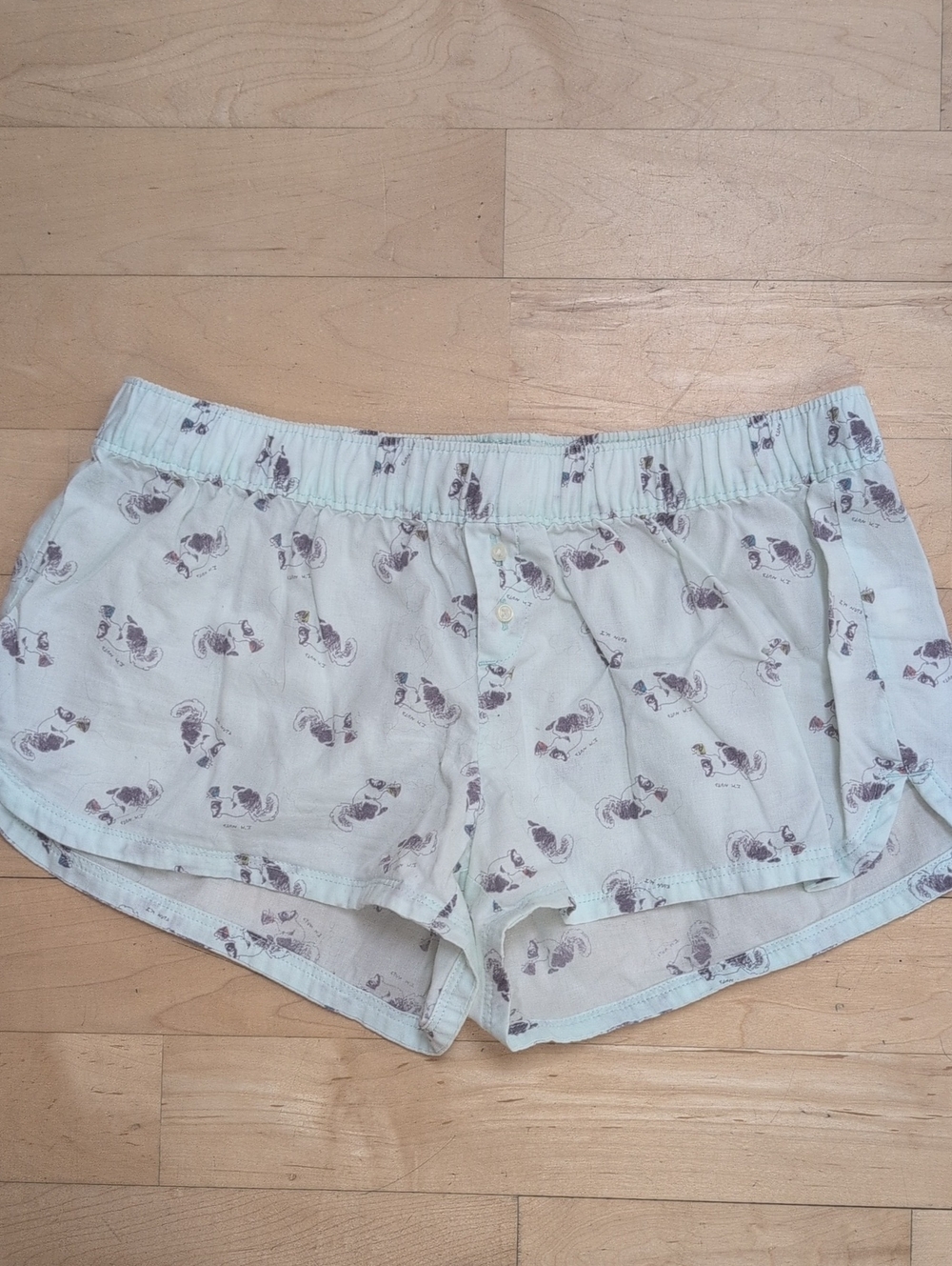 Aerie Squirrel Print PJ Shorts in Light Aqua XS